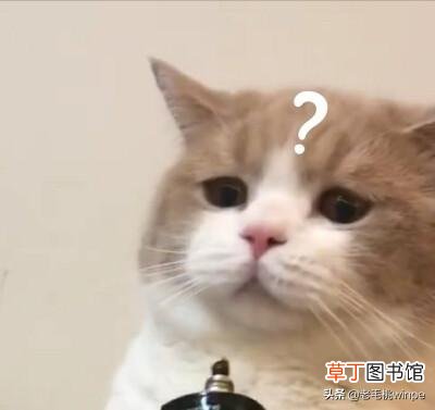 电脑如何结束进程快捷键 结束进程快捷键