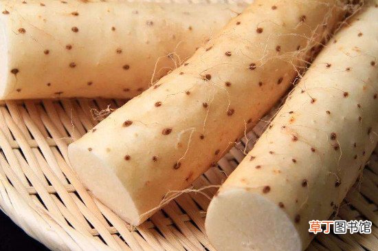 白萝卜可以和山药一起炖汤吗