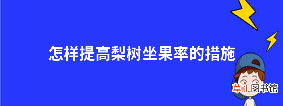 怎样提高梨树坐果率的措施