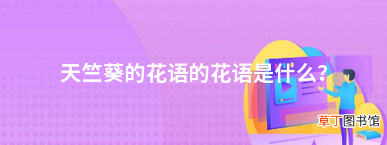 天竺葵的花语的花语是什么？