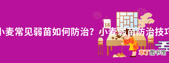 小麦常见弱苗如何防治？小麦弱苗防治技巧