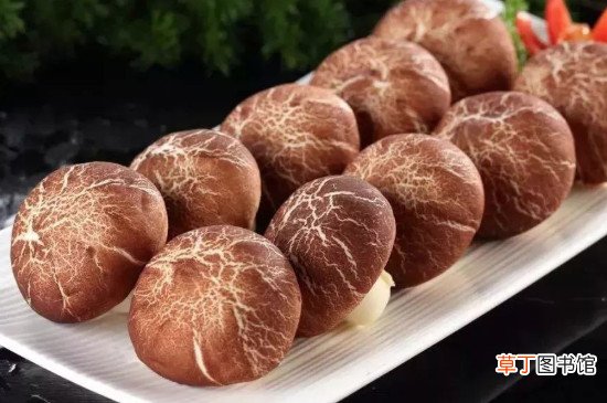 牛肉可以和香菇一起吃吗