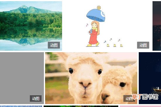 怎么设置动态壁纸