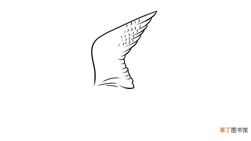 燕隼简笔画 燕隼的画法