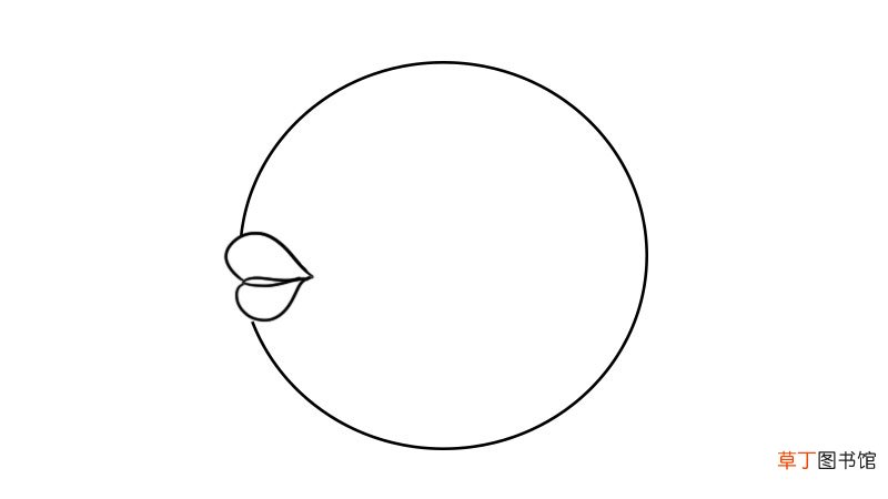 刺豚的简笔画