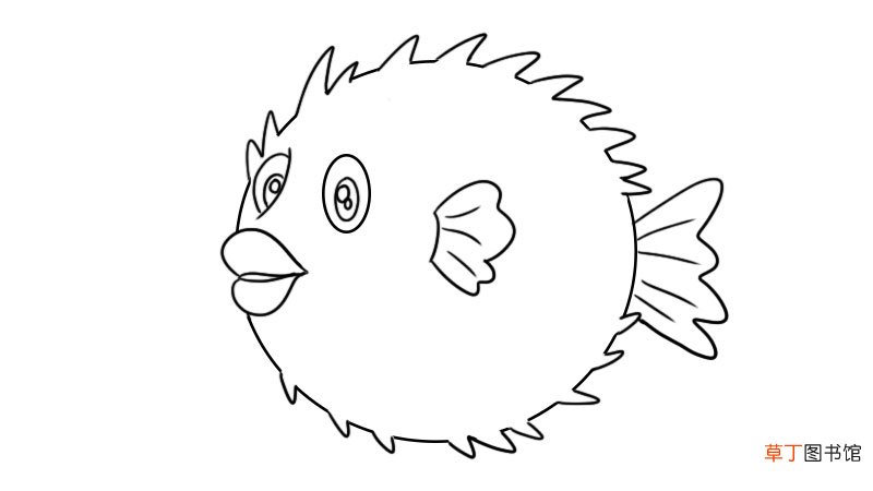 刺豚的简笔画