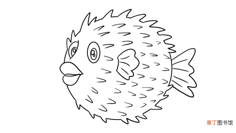 刺豚的简笔画