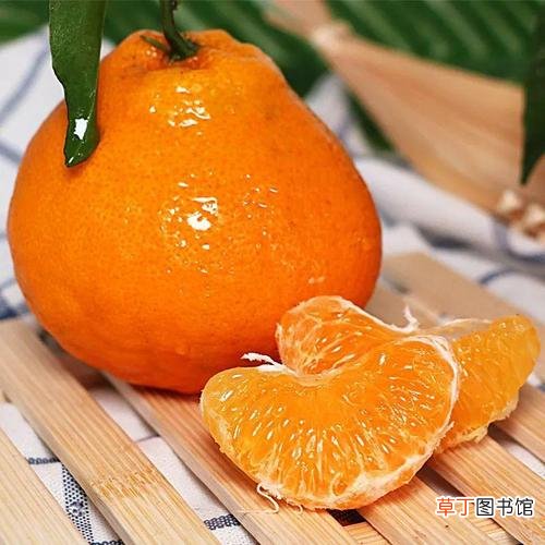 耙耙柑和丑柑有什么区别-简短介绍