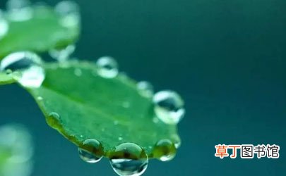 2022白露过后怎么还这么热