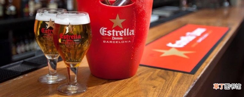 红牛和啤酒可以一起喝吗