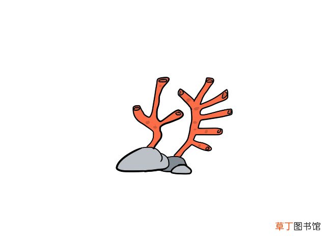 珊瑚简笔画