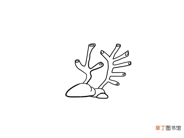 珊瑚简笔画