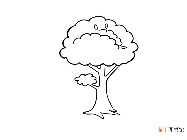 大树简笔画 大树简笔画画法