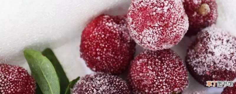 冰冻后的杨梅还能煮吗