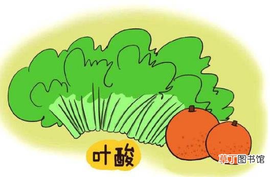 怀孕后吃叶酸怎么吃吃多久 叶酸片什么时候吃最好