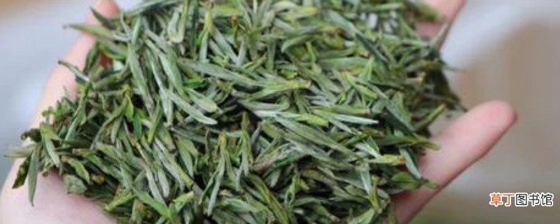 新茶放冷冻还是冷藏
