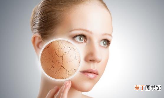 皮肤粗糙重在保持肌肤水油平衡 还你婴儿肌的护肤方法