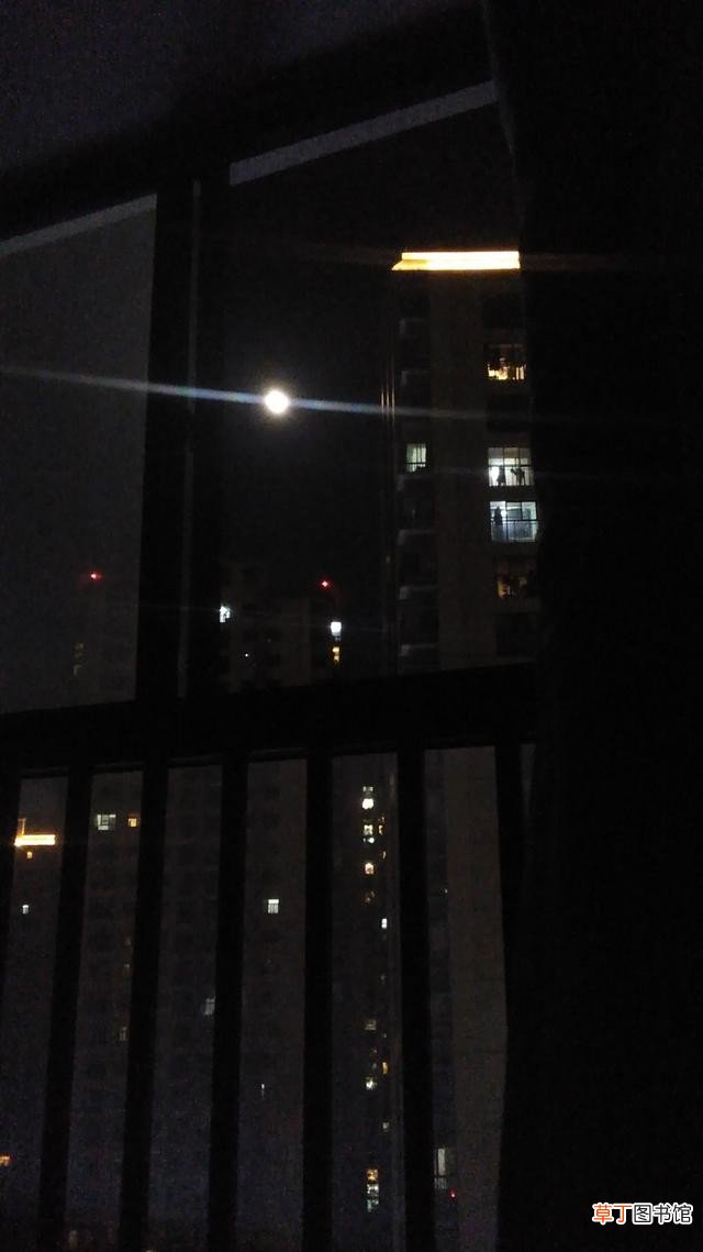 不要脸的女人有很多种类 不要脸的女人什么样