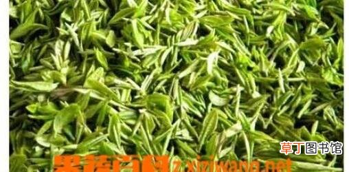 喝毛尖茶有哪些好处 毛尖茶有什么功效和作用