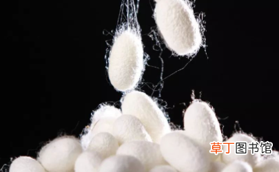桑蚕丝漂黄了怎么办