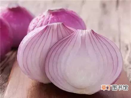 血脂高吃什么食物比较好-吃什么食物有助于降血脂
