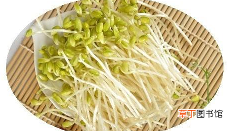 有营养又比较清淡的菜有哪些-有什么味道好且清淡的饮食