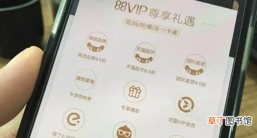 2022年双11淘宝88会员会便宜吗