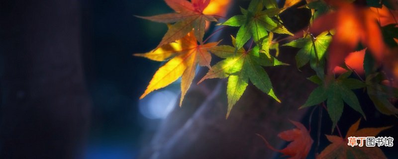 远上寒山石径斜全诗的释文 白云深处有人家全首诗