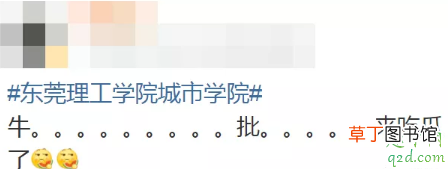 东莞理工学院城市学院女生宿舍视频哪里有,东莞理工城院1V4宿舍事件是真的吗