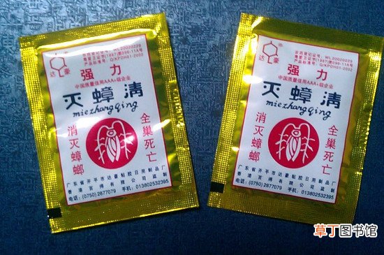 高楼层的蟑螂从哪里来的