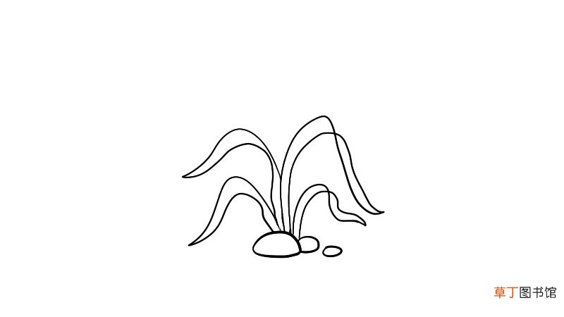 枯草简笔画步骤枯草简笔画教程