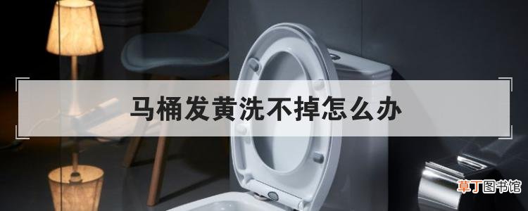 马桶发黄洗不掉怎么办-办法须知
