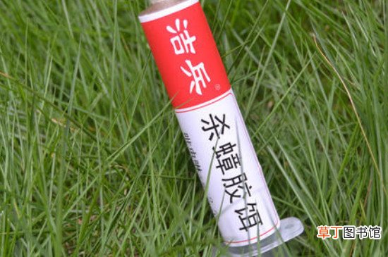怎样判断是否有蟑螂窝