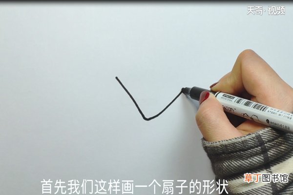 贝壳的画法