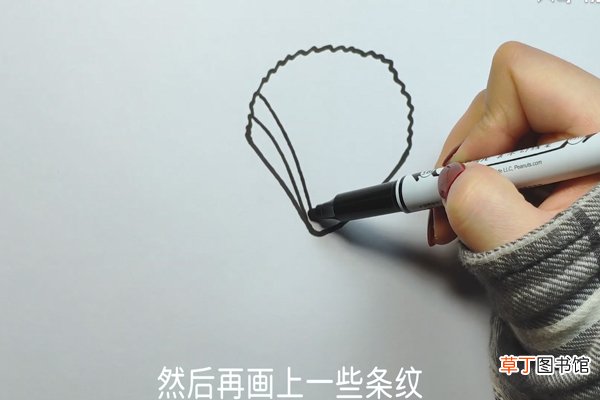 贝壳的画法