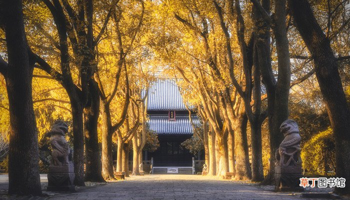 深山寺庙的唯美诗句 深山寺庙的唯美句子