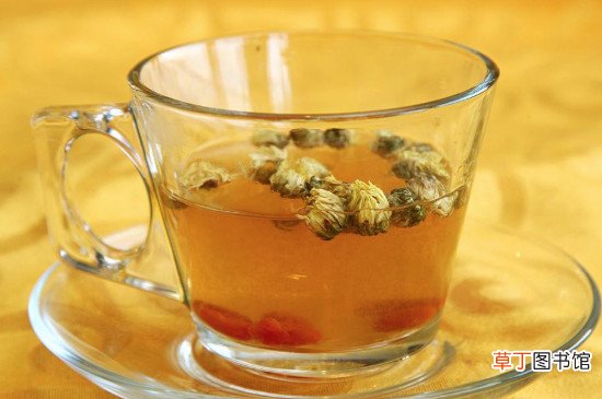 决明子菊花牛蒡根功效