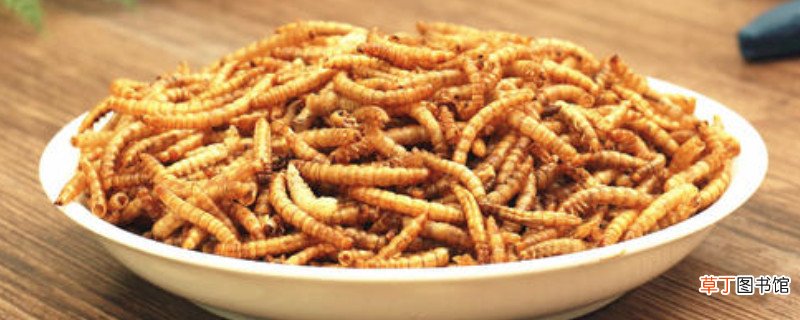 黄粉虫人吃有害处吗