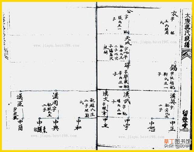 现代家谱范本电子版 现代家谱范本