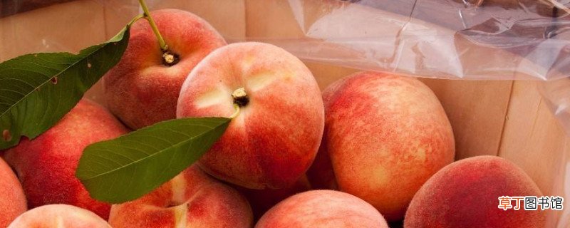 桃子可以和香蕉一起吃吗?