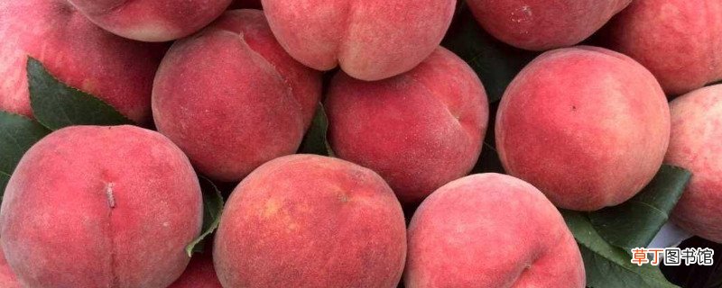 桃子可以和枣子一起吃吗