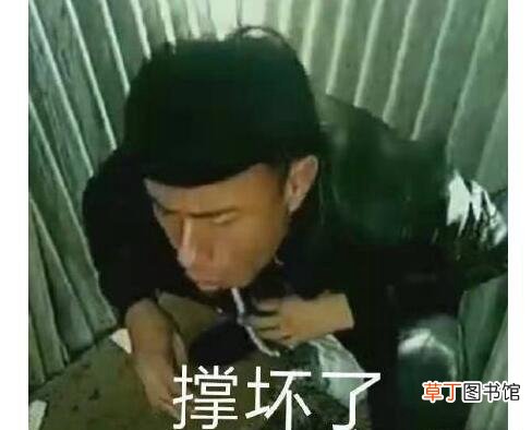 恶心慎入 岛市老八吃奥利给视频原版,自称吃的是假粑粑