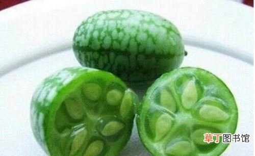 拇指西瓜佩普基诺直径3cm,一口能吃十个180元一斤