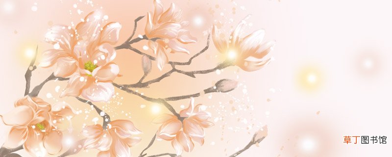 花木兰是哪个朝代的 花木兰是哪个朝代的人物