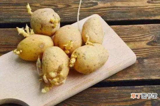 春天怎么防止土豆发芽