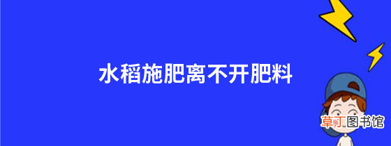 水稻施肥离不开肥料，如何正确使用肥料？