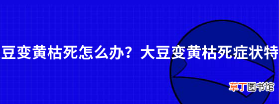 大豆变黄枯死怎么办？大豆变黄枯死症状特点