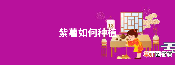 紫薯如何种植，紫薯种植方法和注意事项！