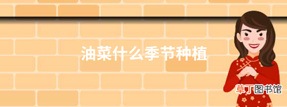 油菜什么季节种植，油菜从种植到丰收需要多久？