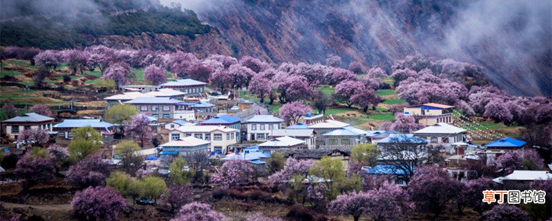 人间四月芳菲尽山寺桃花始盛开哲学原理 人间4月芳菲尽山寺桃花始盛开的原因是什么